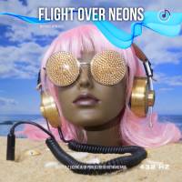 Flight over Neons HIT RADIO chillout M-Yaro 432 Hz